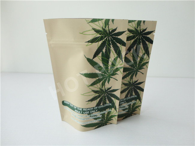Kraft Paper White Color Gravure Printed Stand Up Pouches For Snack Packaging